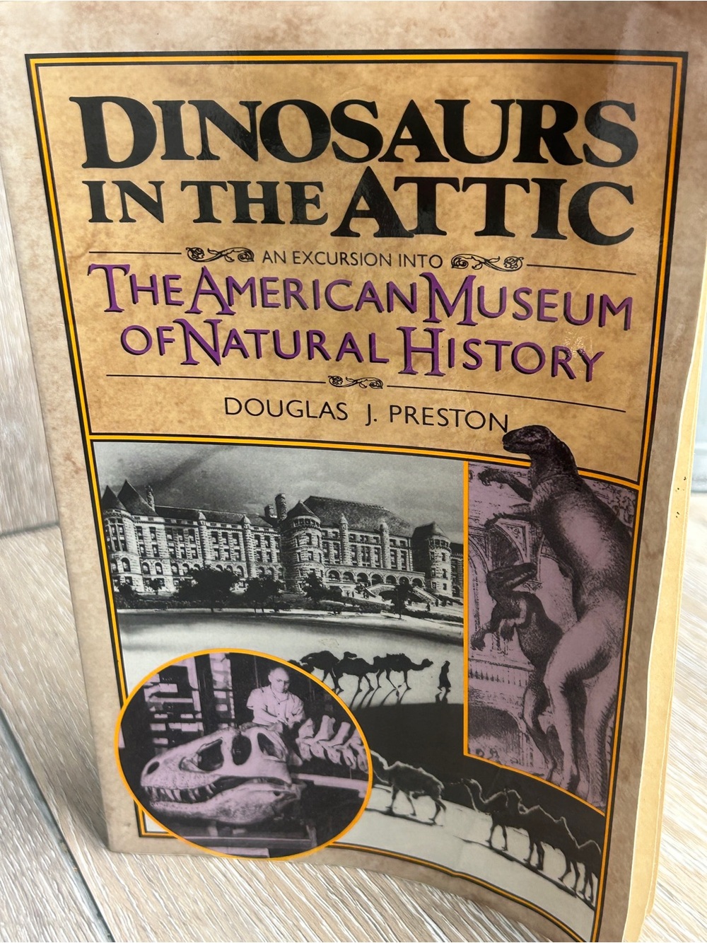 Dinosaurs in the Attic Douglas Preston AMNH History Book PB
